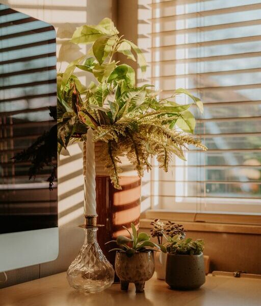Tips for Creating a Cozy and Functional Home Office Space