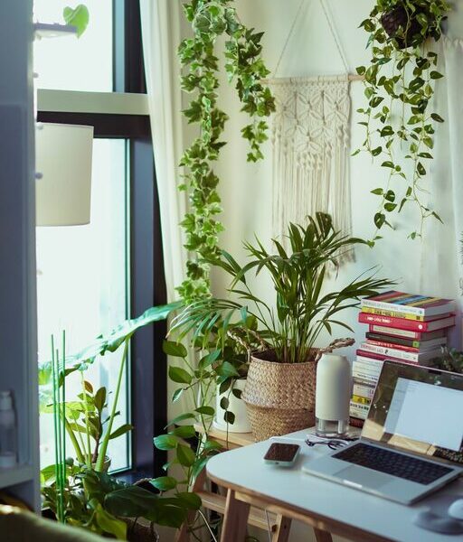 Tips for Creating a Cozy and Inviting Home Office Space